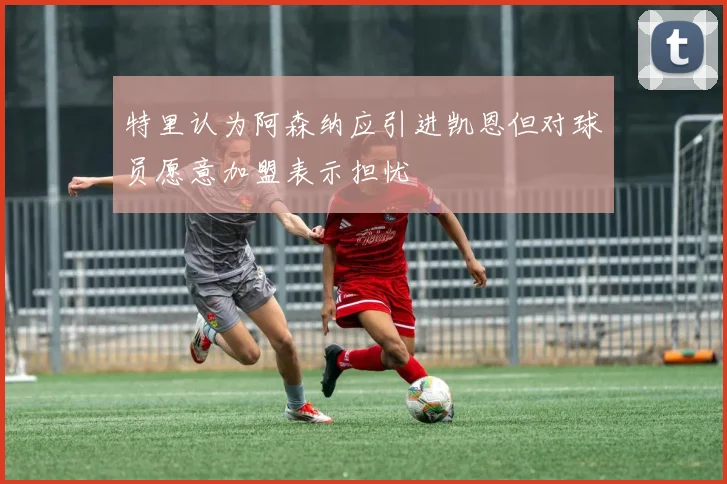 特里认为阿森纳应引进凯恩但对球员愿意加盟表示担忧