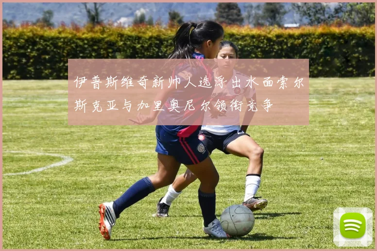 伊普斯维奇新帅人选浮出水面索尔斯克亚与加里奥尼尔领衔竞争