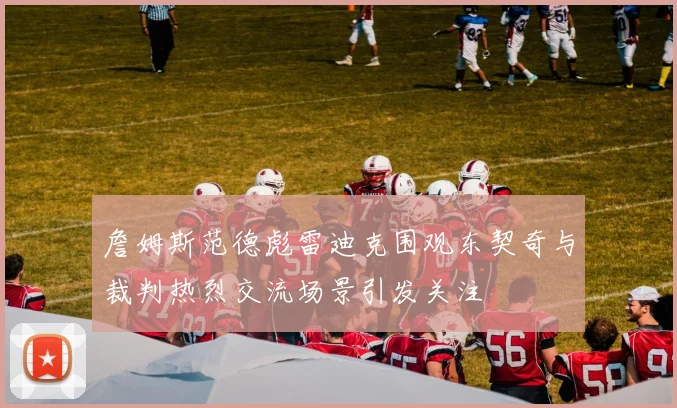 詹姆斯范德彪雷迪克围观东契奇与裁判热烈交流场景引发关注
