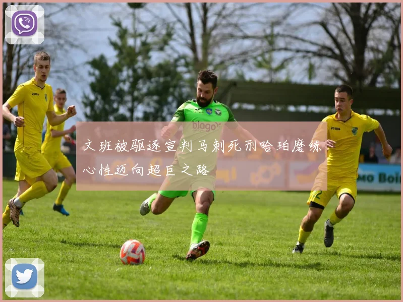 文班被驱逐宣判马刺死刑哈珀磨练心性迈向超巨之路