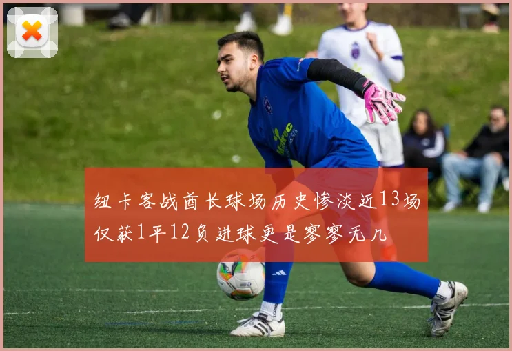 纽卡客战酋长球场历史惨淡近13场仅获1平12负进球更是寥寥无几